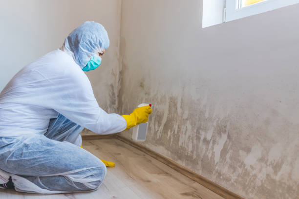 Bathroom Mold Removal assessment in Hanscom AFB bathroom